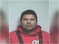 illegal alien illegal alien