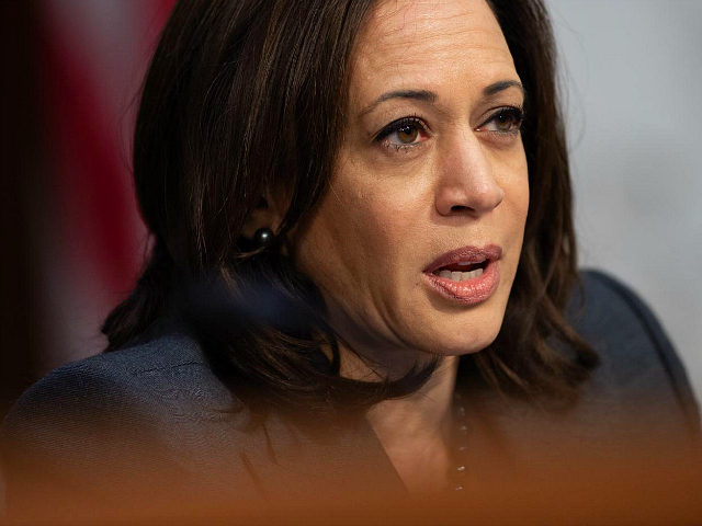 US Senator Kamala Harris, Democrat of California, asks witnesses about Worldwide Threats during a Senate Select Committee on Intelligence hearing on Capitol Hill in Washington, DC, January 29, 2019. (Photo by SAUL LOEB / AFP) (Photo credit should read SAUL LOEB/AFP/Getty Images)