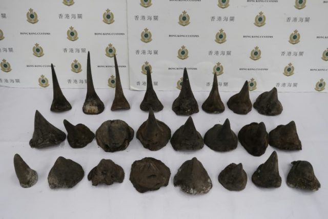 Hong Kong seizes $1m of rhino horn in record airport haul