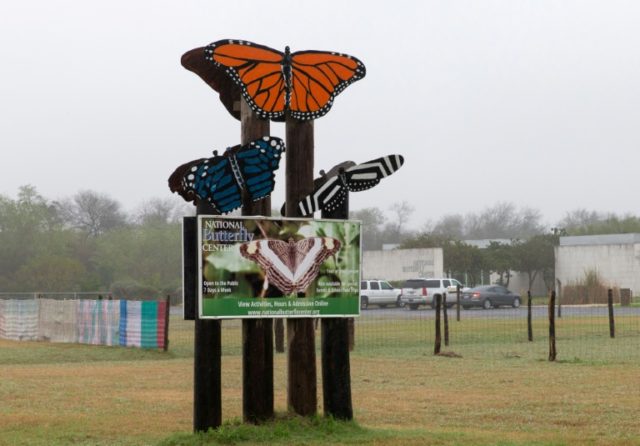 US judge rules against butterfly sanctuary opposed to Trump's wall
