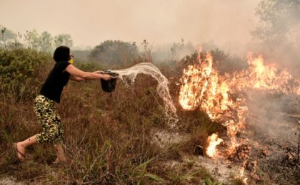 Indonesian firms owe $1.3 bn in forest damage fines: Greenpeace