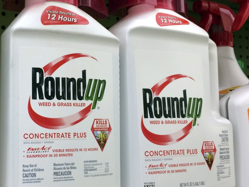 Highstakes trial starts in Roundup weed killer cancer claim Breitbart