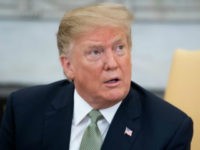 Donald Trump Shocked by Media Double Standard over Rashida Tlaib’s Holocaust Comments