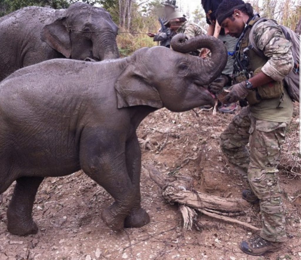 Army Sgt. 1st Class Micah Robertson feeding a baby elephant while training in a foreign country. (Courtesy of Robertson)