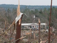 Damage is seen from a tornado which killed at least 23 people in Beauregard, Alabama on March 4, 2019. - Rescuers in Alabama were set to resume search operations Monday after at least two tornadoes killed 23 people, uprooted trees and caused "catastrophic" damage to buildings and roads in the …