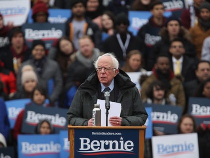 NEW YORK, NEW YORK - MARCH 02: Democratic Presidential candidate U.S. Sen. Bernie Sanders (I-VT) speaks to supporters at Brooklyn College on March 02, 2019 in the Brooklyn borough of New York City. Sanders, a staunch liberal and critic of President Donald Trump, is holding his first campaign rally of …