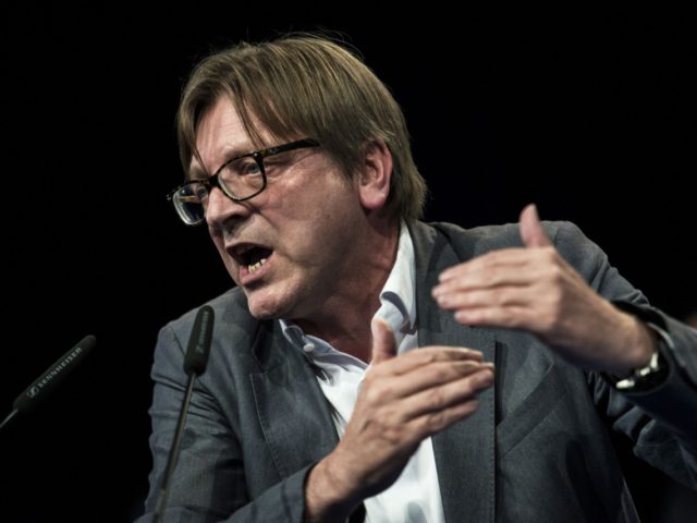 Top candidate of Liberals (ALDE) Guy Verhofstadt delivers a speech on April 30, 2014 during an UDI / MODEM campaign meeting in Lyon for the European election. AFP PHOTO / JEFF PACHOUD (Photo credit should read JEFF PACHOUD/AFP/Getty Images)