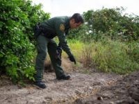 Exclusive: Migrant ‘Got-Away’ Total Exceeds 185K this Year, Says Source