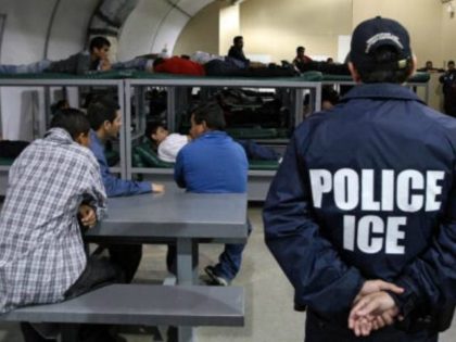 ICE Detained Illegal Aliens