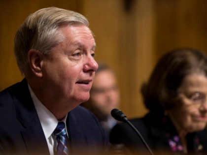 Senate Judiciary Committee Chairman Sen. Lindsey Graham (R-SC) speaks during a Senate Judiciary confirmation hearing for Neomi Rao, U.S. President Donald Trump's nominee to be a U.S. Circuit Court of Appeals judge for the District of Columbia Circuit, on Capitol Hill on February 5, 2019 in Washington, DC.