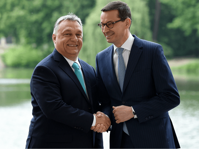 Polish Prime Minister Mateusz Morawiecki shakes hands with Hungarian Prime Minister Viktor Orban (L) during a meeting on May 14, 2018 at the Palace on the Isle in Warsaw's Lazienki Park. (Photo by JANEK SKARZYNSKI / AFP) (Photo credit should read JANEK SKARZYNSKI/AFP/Getty Images)