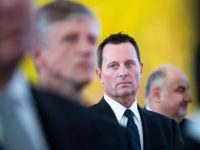 US Ambassador to Germany Richard Allen Grenell, center, attends the new year reception for the diplomatic corps in the presidential palace in Berlin Monday, Jan. 14, 2019. (Bernd von Jutrczenka/dpa via AP)