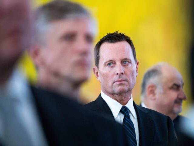 US Ambassador to Germany Richard Allen Grenell, center, attends the new year reception for