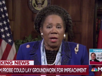 Sheila Jackson Lee