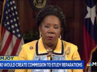 Rep. Sheila Jackson Lee on MSNBC, 3/17/2019 Rep. Sheila Jackson Lee on MSNBC, 3/17/2019