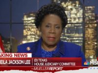 Rep. Sheila Jackson Lee on MSNBC, 3/24/2019