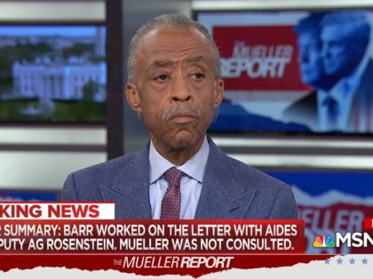 Al Sharpton: ‘This Is a Clear Day of Victory for the President’