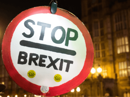 LONDON, ENGLAND - MARCH 12: Protesters from the remain camp demonstrate on College Green o