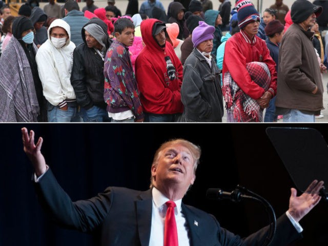 Donald Trump, mass immigration - collage.
