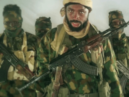 Abubakar Shekau, the leader of one of two Boko Haram factions, from a video published on N
