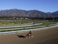 Santa Anita