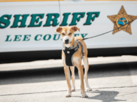 FORT MYERS, Fla. (FOX 13) - A dog found with his mouth taped shut in southwest Florida has been given a second chance and is now officially a deputy for the Lee County Sheriff's Office. FORT MYERS, Fla. (FOX 13) - A dog found with his mouth taped shut in southwest Florida has been given a second chance and is now officially a deputy for the Lee County Sheriff's Office.