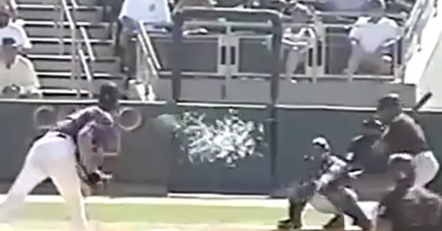 18 Years Ago, Randy Johnson Killed a Bird with a Baseball