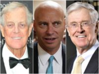 short-kochs-640x480
