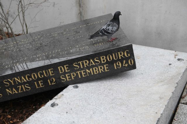 Strasbourg's Old Synagogue memorial stone hit by 'vandalism'