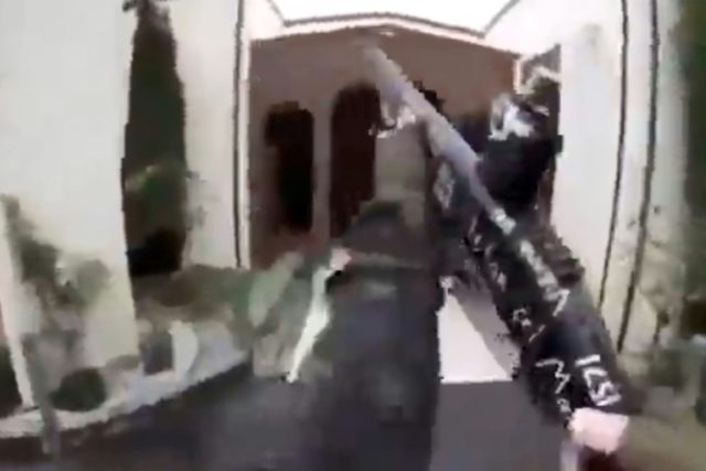 christchurch mosque shooting video liveleak