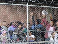 Trump Threatens to Close Border as Migrants Surge Through Loopholes