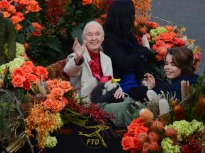Jane Goodall: 'We all have a role to play' in saving world from climate change