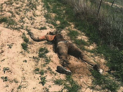 Brooks County Sheriff's Office deputies recovered the body, believed to be that of Rudy Donaldo Martinez Arias of Honduras. (Photo: Brooks County Sheriff's Office/Deputy Bianca Mora)