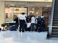 Emmanuel Deshawn Aranda, 24, was charged Friday with attempted homicide for allegedly pushing or throwing a 5-year-old boy from the third floor of Minnesota's Mall of America.