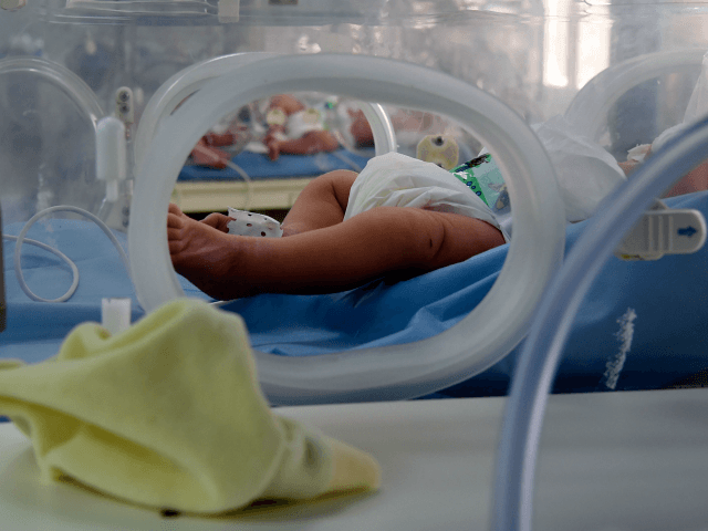 A photo taken March 11, 2019, shows babies inside incubators at the maternity ward of the Rabta hospital in Tunis. - A dozen newborn babies whose deaths at a Tunisian state hospital sparked public outrage are believed to have been killed by an infection acquired in the clinic, the acting …