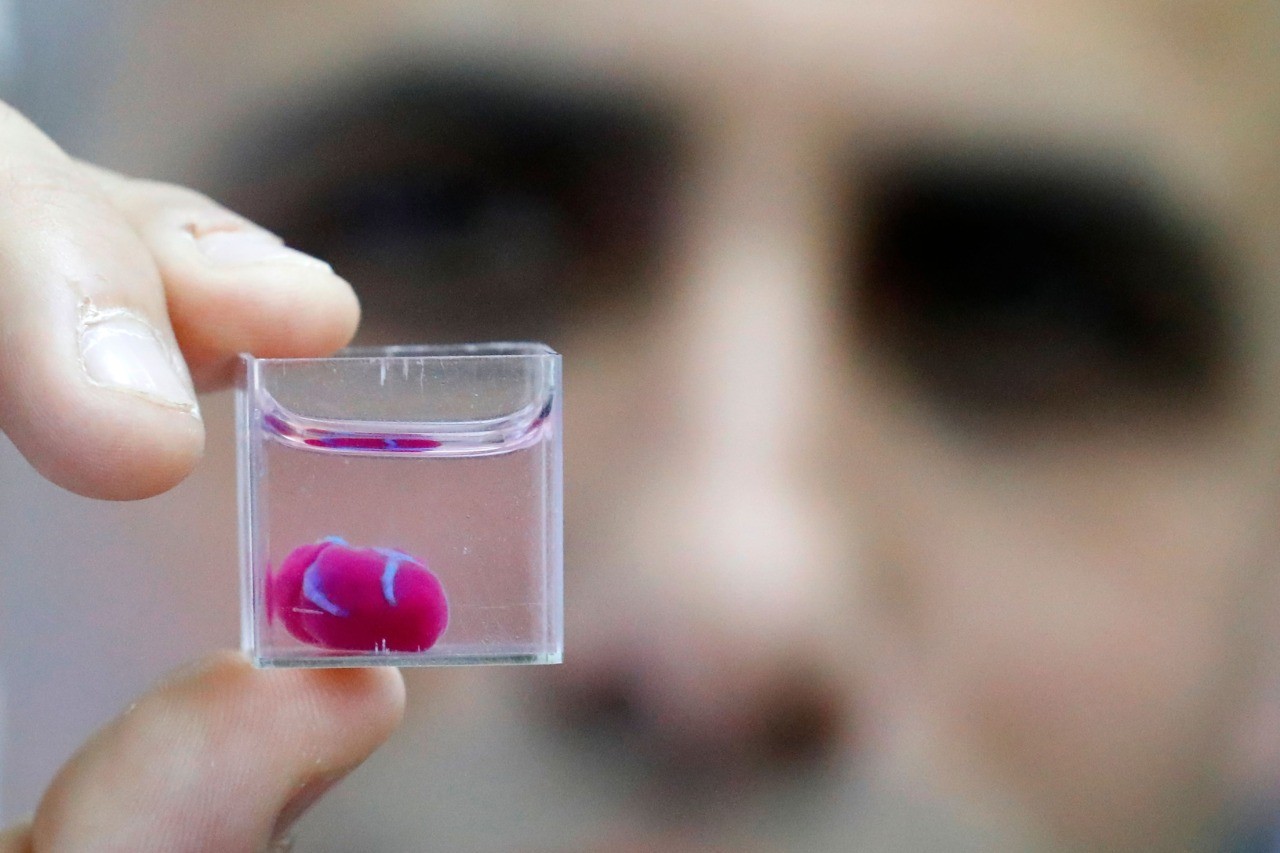 This photo taken on April 15, 2019 at the University of Tel Aviv shows a 3D print of heart with human tissue. - Scientists in Israel on Monday unveiled a 3D print of a heart with human tissue and vessels, calling it a first and a "major medical breakthrough" that advances possibilities for transplants. (Photo by JACK GUEZ / AFP) (Photo credit should read JACK GUEZ/AFP/Getty Images)