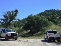 US Border Patrol vehicles are seen along a road near the US-Mexico border on cattle rancher Jim Chilton's 50,000 acre ranch southeast of Arivaca, Arizona on October 14, 2016 near where a barbed-wire fence is all that separates the two countries. Despite the difficult Sonoran desert terrain, the area remains …