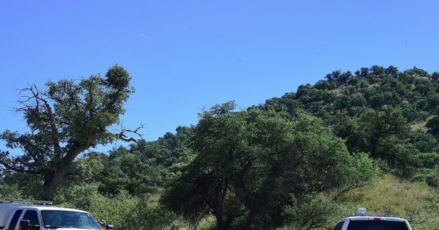 border-patrol-agent-assaulted-in-arizona-mountains
