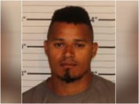 illegal alien suspect