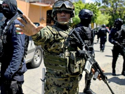 Mexican military Francisco RoblesAFPGetty Images