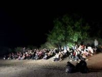 Migrants