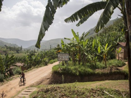 A man rides a bicycle on a road in the valley that separates two villages on adjascent hills, at the border between Musambira and Nyarubaka sectors of Kamonyi District, on March 4, 2019. - Two villages on adjascent hills are re-learning to share all they have, including a well-spring at …