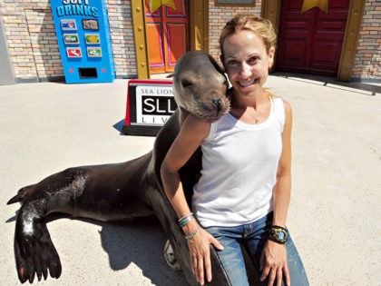 SAN DIEGO, CA - AUGUST 03: In this handout photo provided by SeaWorld San Diego, singer-songwriter Sheryl Crow meets Clyde the Sea Lion, the star of SeaWorld San Diego’s 'Sea Lion Tonite,' at the marine-life park's Sea Lion and Otter Stadium on August 3, 2011 in San Diego, California. Crow …