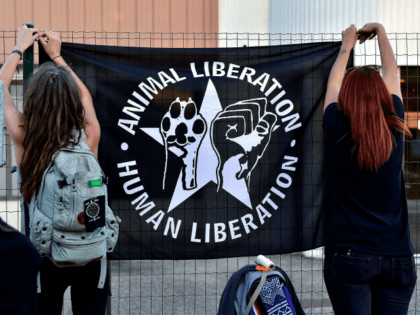 Anti-speciesist activists from the Association 269Life Liberation Animale hold a banner reading 'Animal Liberation-Human Liberation' as part of an action called 'Night outside the slaughterhouse' to protest against the bad treatments of animals in slaughterhouses outside the poultry slaughterhouse of Bazas on September 26, 2018. (Photo by GEORGES GOBET / …