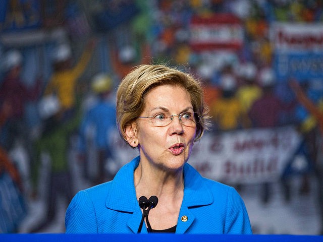 WASHINGTON, DC - APRIL 10: Sen. Elizabeth Warren (D-MA) speaks during the North American Building Trades Unions Conference at the Washington Hilton April 10, 2019 in Washington, DC. Many Democrat presidential hopefuls attended the conference in hopes of drawing the labor vote. (Photo by Zach Gibson/Getty Images)