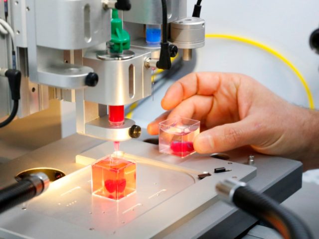 This photo taken on April 15, 2019 at the University of Tel Aviv shows a 3D print of heart with human tissue. - Scientists in Israel on Monday unveiled a 3D print of a heart with human tissue and vessels, calling it a first and a 'major medical breakthrough' that …