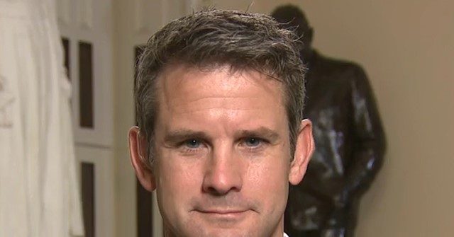 GOP Rep. Kinzinger: Treat All Political Extremist Violence as Terrorism, Raise Age to Buy Guns, Implement Universal Background Checks