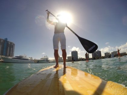 MIAMI BEACH, FL - DECEMBER 07: Bobby Dekeyser paddleboards following the Dedon Breakfast at AD Oasis at James Royal Palm Hotel on December 7, 2013 in Miami Beach, Florida. (Photo by Neilson Barnard/Getty Images for Architectural Digest)