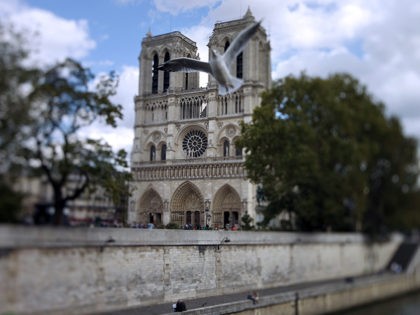 Notre-Dame cathedral, on September 19, 2011. (JOEL SAGET/AFP/Getty Images)