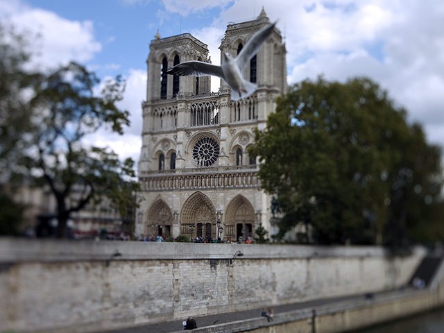 Notre-Dame cathedral, on September 19, 2011. (JOEL SAGET/AFP/Getty Images)